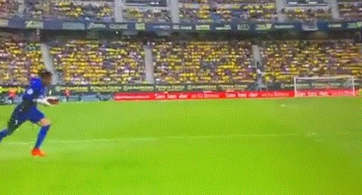 1662835987616079339.gif bar-100.gif